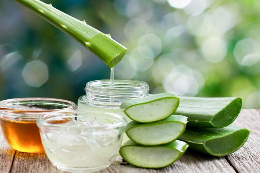 aloe vera eczema